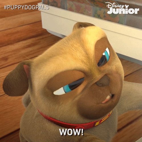 Puppy Dog Pals Wow GIF by Disney Jr.