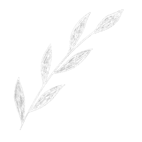 White Sticker