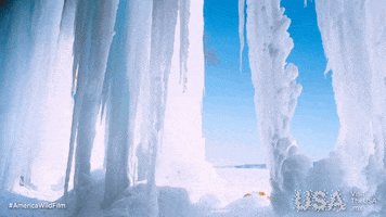 GIF by Visit The USA MX