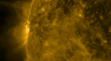 magnetic field sun GIF by NASA's Goddard Space Flight Center
