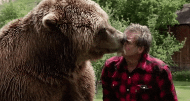walsh  GIF