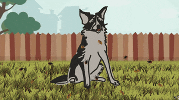 zitatrukse #animation #scratching dog GIF