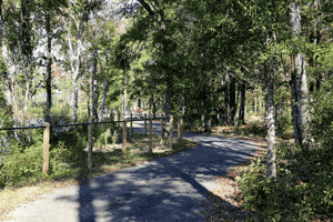 cityofwilm bicycle sunny day ilm cross city trail GIF
