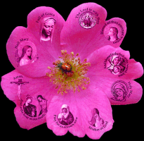 stanley prayer catholic ladybug decade GIF