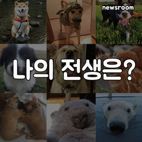 newsroom  GIF