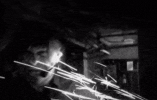 beinhaus flex performance beinhaus GIF