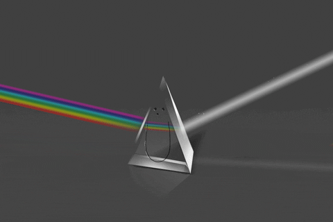 enamel prism meaning, definitions, synonyms