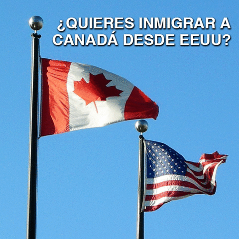 jean-pierreibanez move to canada GIF