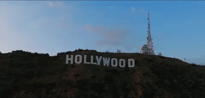Martk009 weed drone hollywood aerial GIF