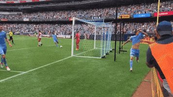 Red Bulls Soccer GIF by NYCFC