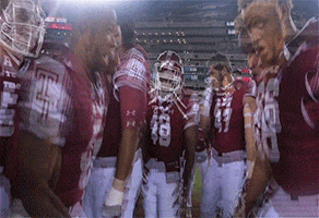 College Football GIF by Temple Owls