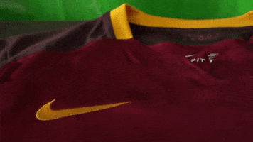 fans nike GIF by AS Roma