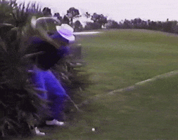 exprofesso fail golf ball miss GIF