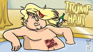 Donaldtrump GIF by Switchblade Comb Productions