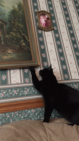 alexiaminton  GIF