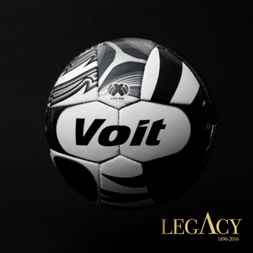 voit legacy voit GIF