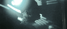 betrayingthemartyrs GIF by Sumerian Records