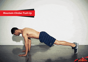 soner fitbull GIF