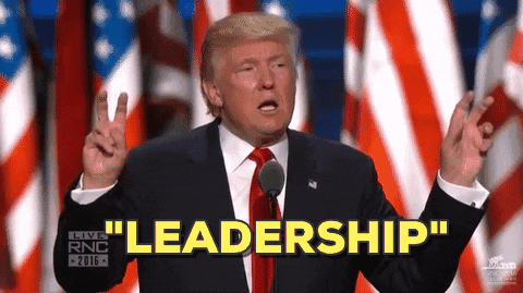 donald trump rnc GIF by Election 2016
