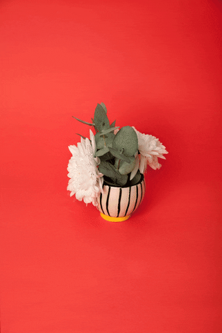 les-canailles design flower graphic ceramic GIF