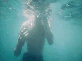 altasensibilidad gif beach seaside lael GIF