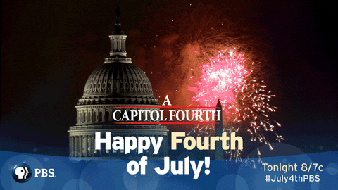 celebrate fourth of july GIF by PBS