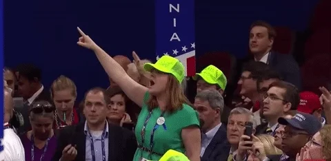 Donald Trump GIF