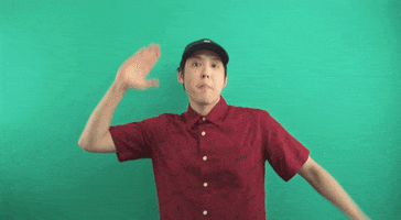 kung fu no GIF by Transparent Feed