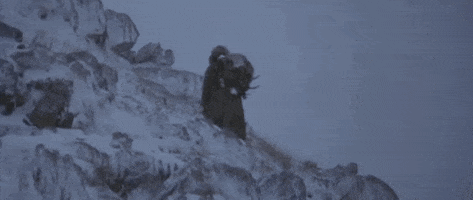 200.gif?cid=fc005b084deb78597867baf94eaa46540ae22a86168de676&rid=200.gif&ct=g