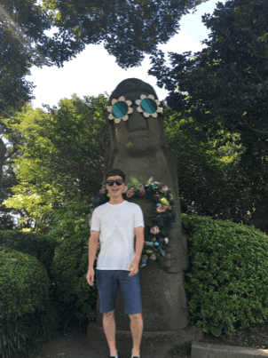 som  GIF