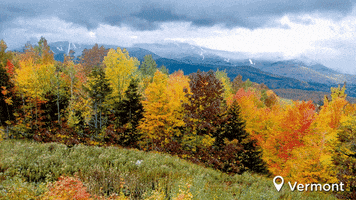 fall autumn GIF by Visit The USA