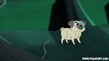 Cartoon gif. Cute white pug wearing an eye patch stands innocently as a distracted black pug in a big hurry crashes into the back of him. The black pug grins sheepishly as the white pug snarls in annoyance.
