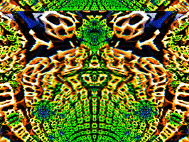 200.gif?cid=fc005b083d474e8c9a4a5d2444698e663446ad357430e6dd&rid=200.gif&ct=g