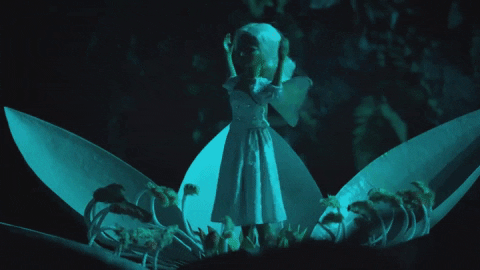 giphy.gif?cid=6c09b9524ms6hfx4qotpts6mt5fru8ihafkg3u2objdkz319&ep=v1_gifs_search&rid=giphy.gif