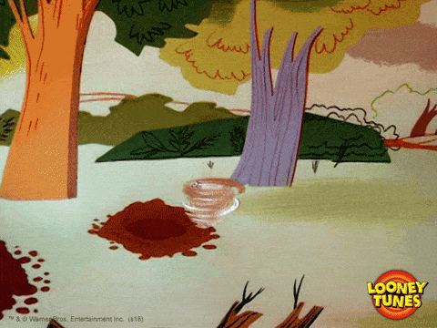 Veías los Looney Tunes
Inserta imagen de tu favorito