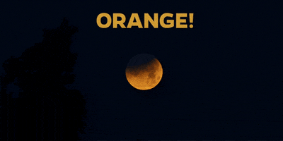 Blue Moon Orange GIF by University of Florida College of Education
