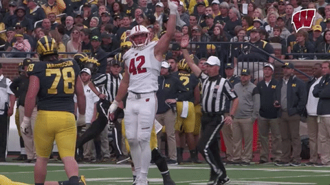 Excited College Football GIF by Wisconsin Badgers - Find & Share on GIPHY