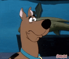 Shocked Dog GIF by Scooby-Doo