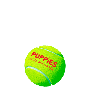 Source: Puppies Make Me Happy