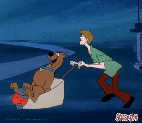 run race GIF by Scooby-Doo
