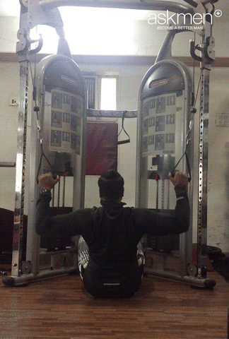 snehalfernandes  GIF