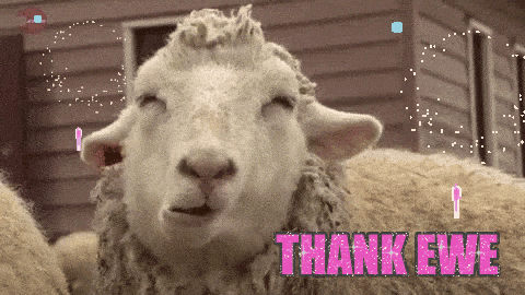 Thank U GIF by chuber channel