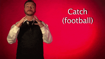 sign language football GIF by Sign with Robert