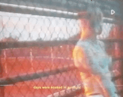 200.gif?cid=fc005b083329472dba0512ff4adaecf1c186654fa565e7a1&rid=200.gif&ct=g