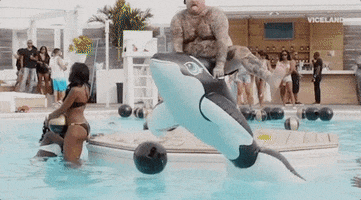 viceland GIF by Dead Set on Life