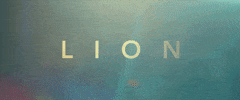 the weinstein company GIF by LION 