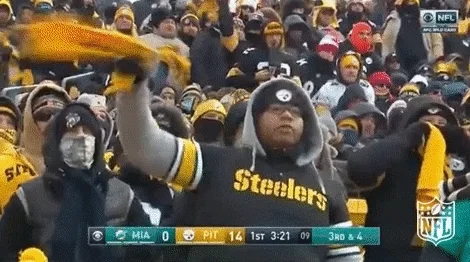 Pittsburgh Steelers Football GIF by NFL