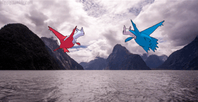 Lurantii latias & latios #6 GIF