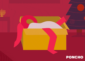 Boxing Day Holiday GIF by Poncho