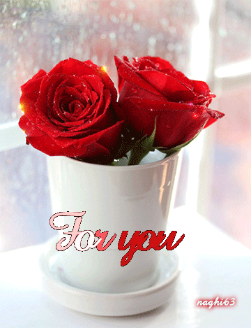 wallpaper flowers wallpapers flower wallpaper new 3d wallpapers for your desktop beautiful rose flowers GIF